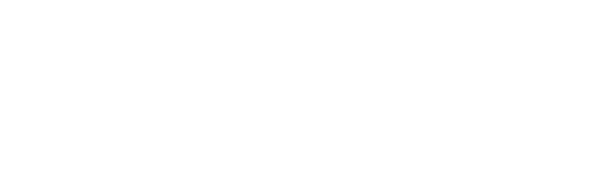 Arbiter_Logo_bianco_2